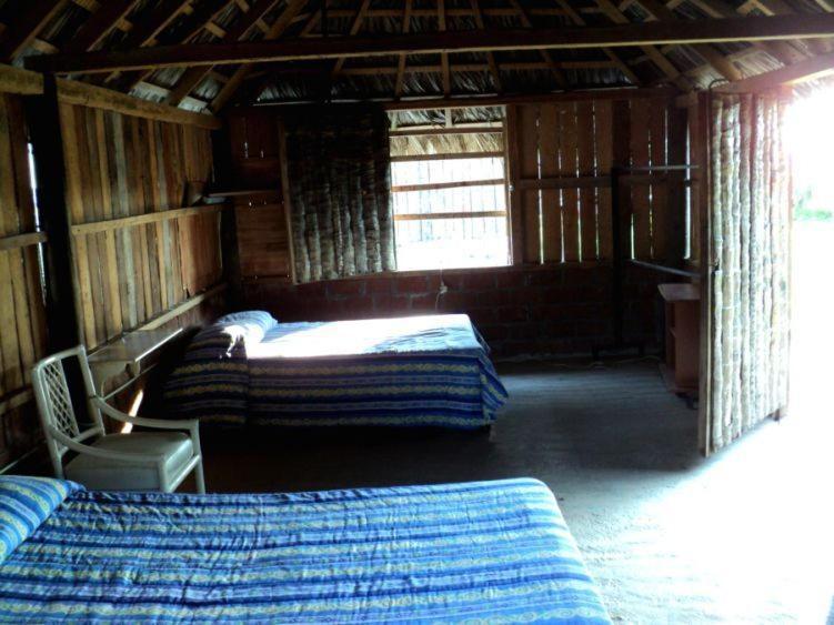 Cabanas Pie De La Cuesta Hotell Coyuca Rum bild